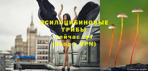 мяу мяу мука Абинск