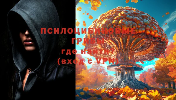 мяу мяу мука Абинск