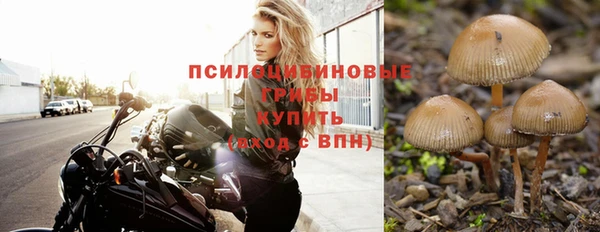 мяу мяу мука Абинск