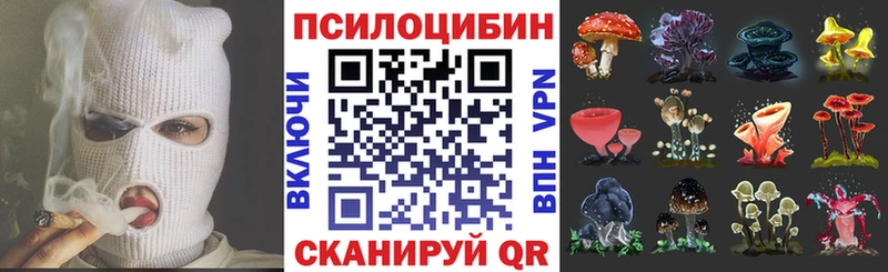 Псилоцибиновые грибы ЛСД  маркетплейс Telegram  Адыгейск  купить наркотики сайты 